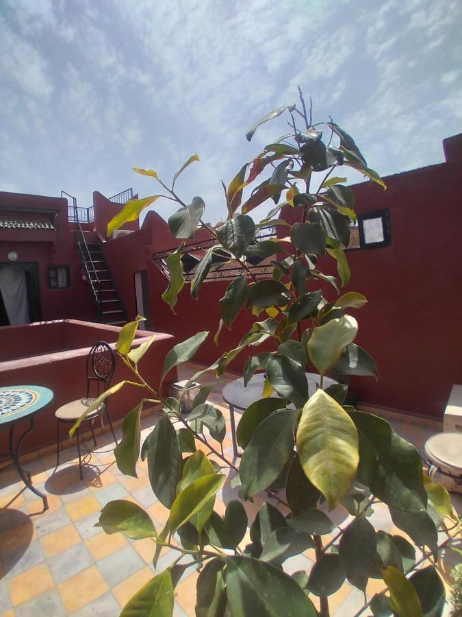 Riad 9 Derb El Bousnne Marrakesh Exterior photo