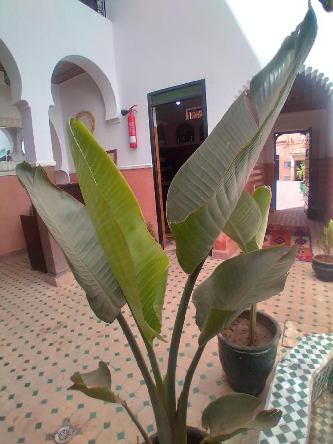 Riad 9 Derb El Bousnne Marrakesh Exterior photo
